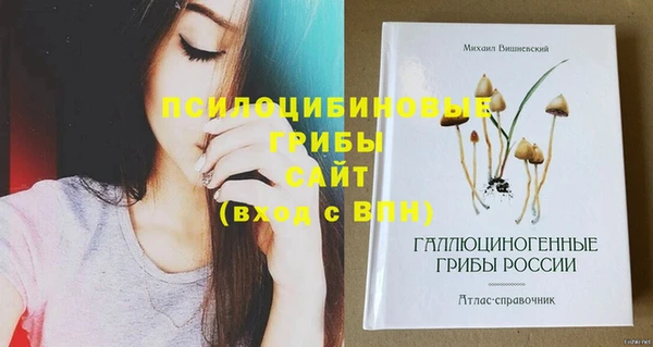 apvp Елабуга