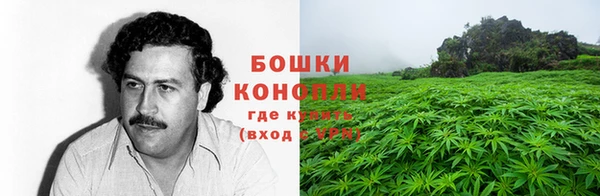 apvp Елабуга