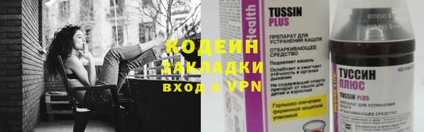 бошки Дмитриев