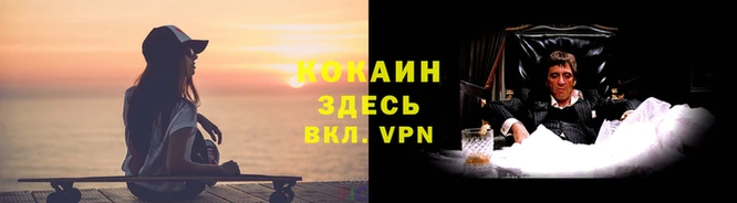 меф Дмитров