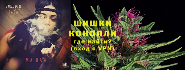 apvp Елизово
