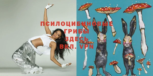 бошки Дмитриев