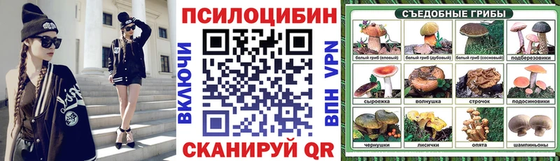 Купить  Губкин  Галлюциногенные грибы мицелий 